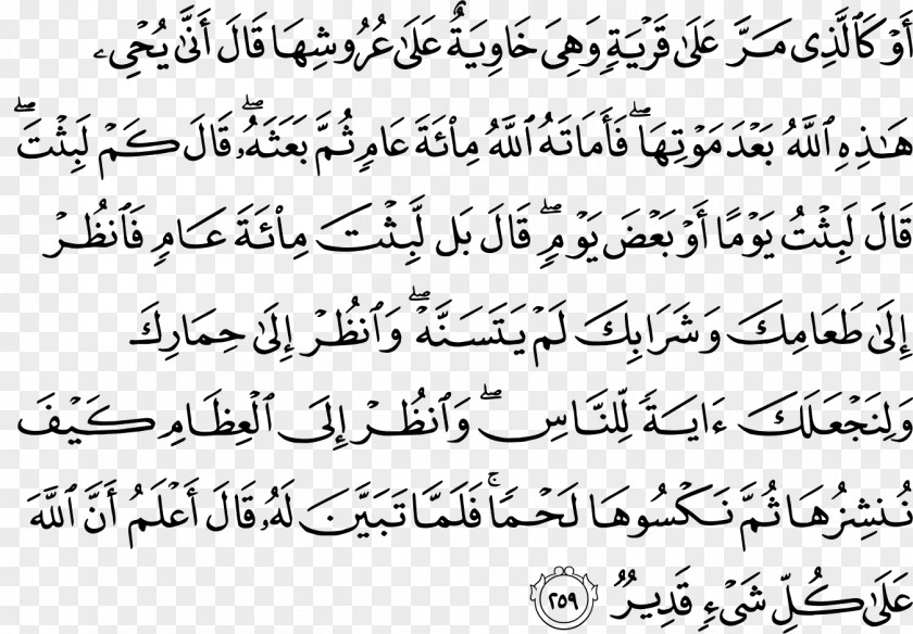 Surat Ar Rum Ayat 21 Quran Al-Baqara Surah Ayah 0 PNG