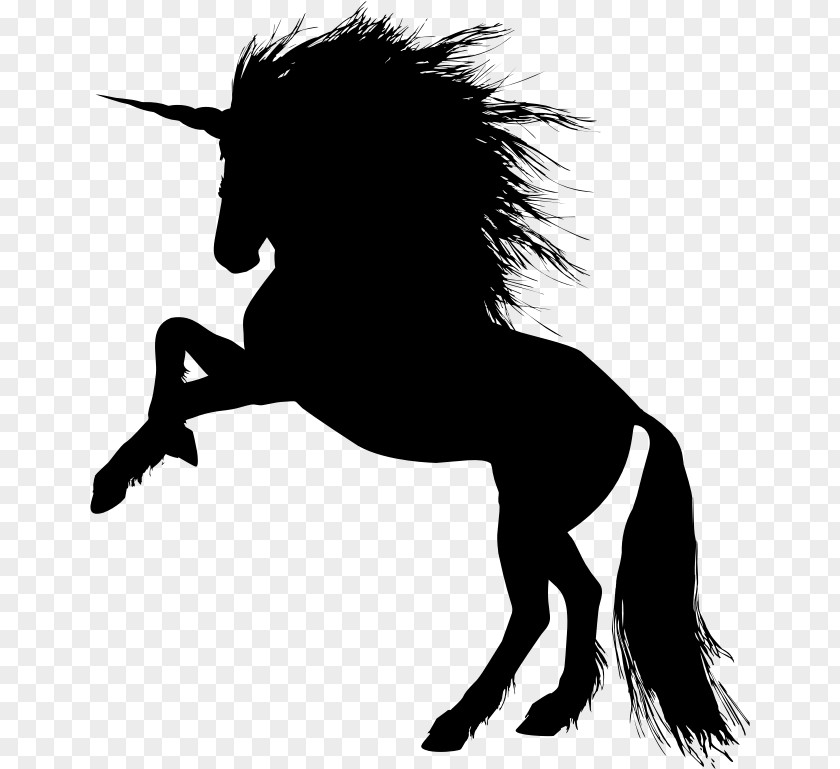 Unicorn Horn American Paint Horse Stallion Mustang Clip Art PNG