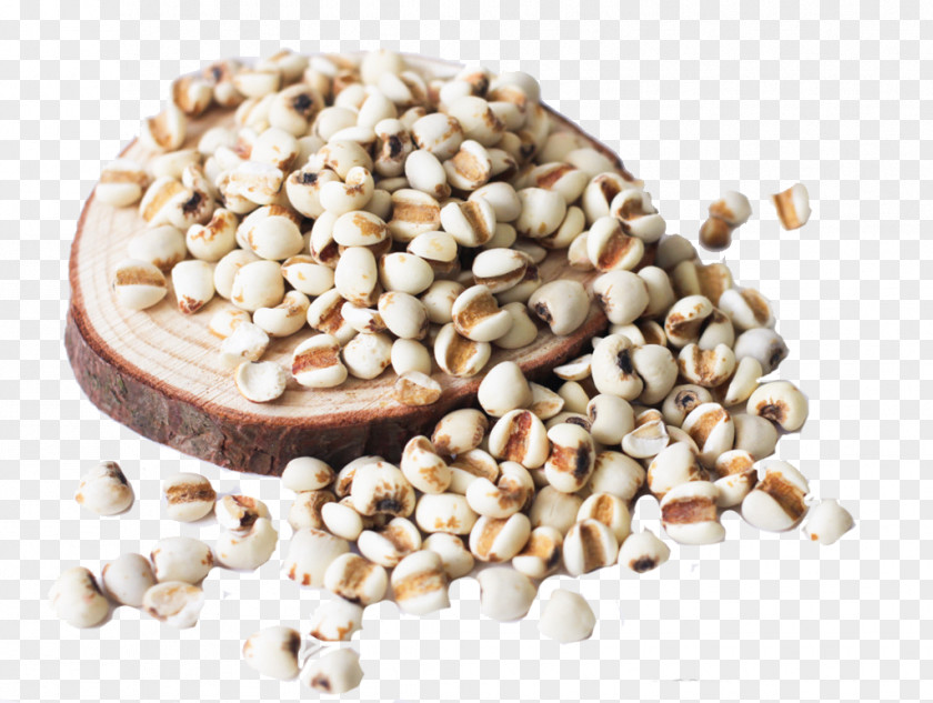 Barley Rice And Wooden Tray Tea Adlay Food Powder Seed PNG