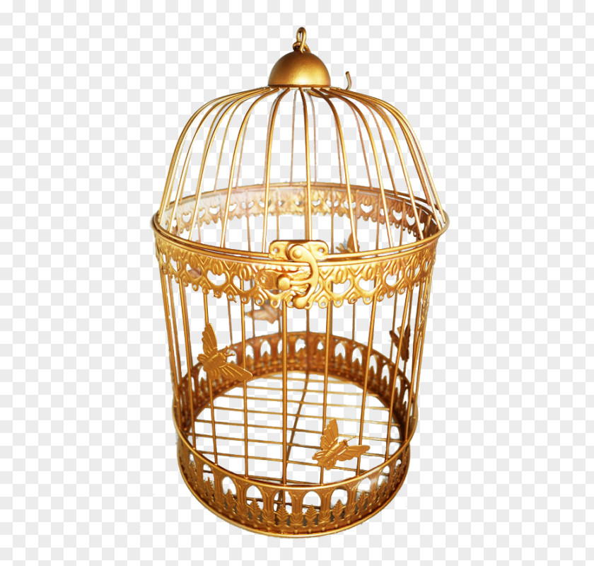 Design Cage Basket PNG