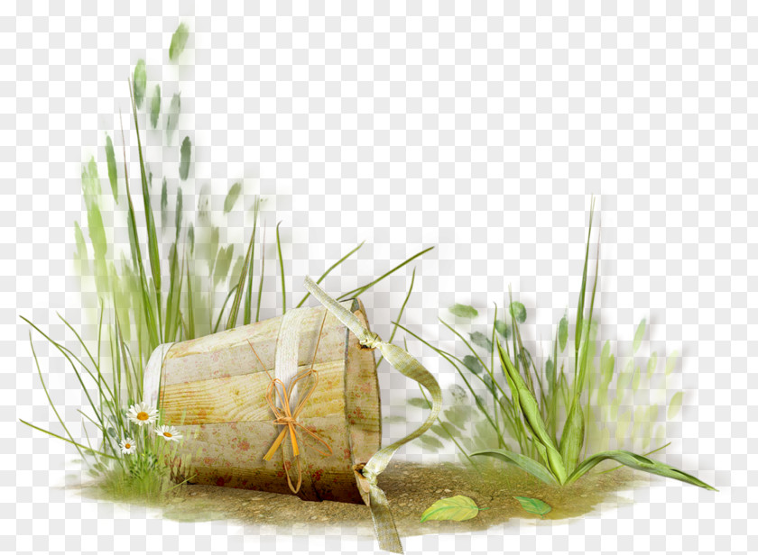 Herbes Grass Clip Art PNG