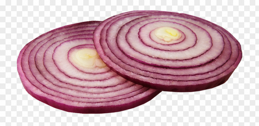 Onion Slice Clipart Vegetable Clip Art PNG