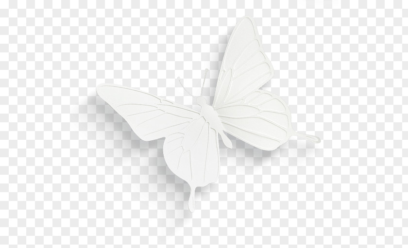 White Three-dimensional Butterfly Black PNG