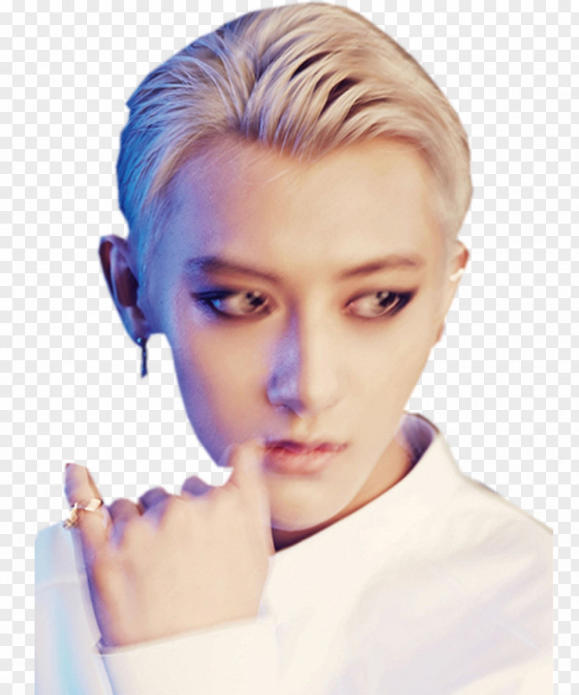 EXO Overdose S.M. Entertainment Love, Love Run PNG