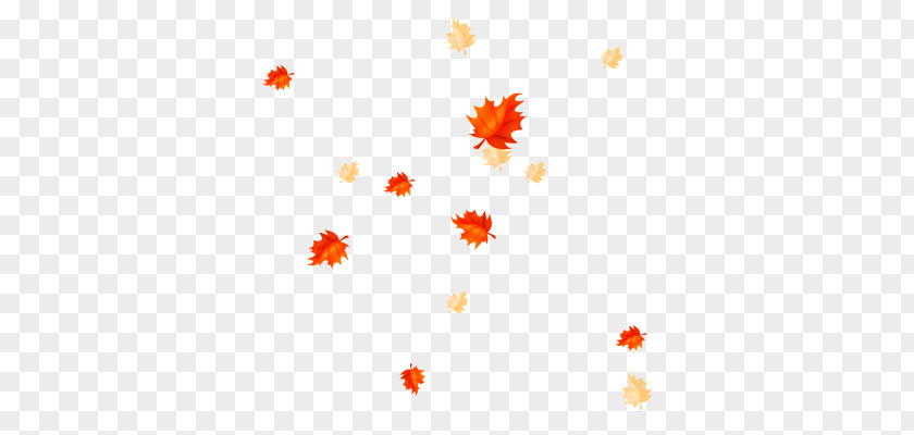 Leaf Petal Autumn Leaves Desktop Wallpaper PNG