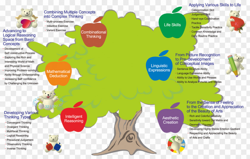 Quotient Child Tree Mathematics Theory Of Multiple Intelligences PNG