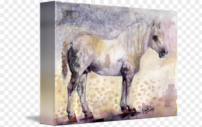 Watercolor Horse Mustang Stallion Mare Pony Pack Animal PNG