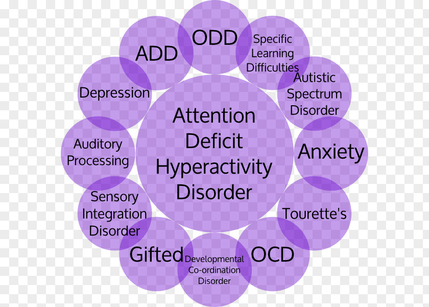 Attention Adult Deficit Hyperactivity Disorder Specific Developmental PNG