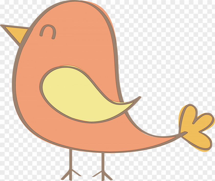Beak Chicken Birds Cartoon Water Bird PNG