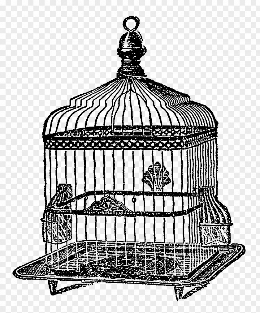 Birdcage Black And White Drawing Monochrome Photography Line Art PNG