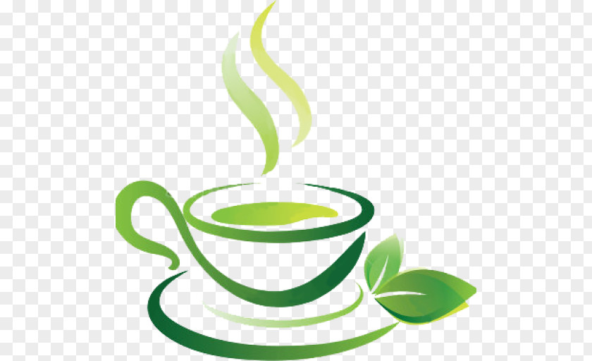 Green Tea Cafe Drink Clip Art PNG
