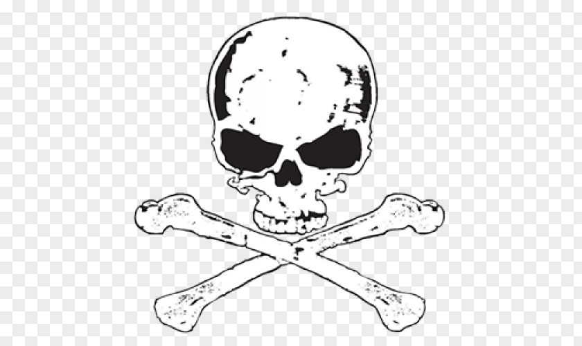 Skull Jaw Bone Clip Art PNG
