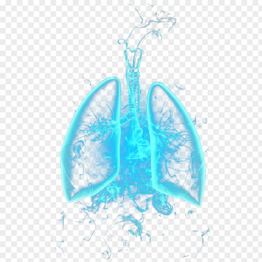 Blue Lungs PNG lungs clipart PNG