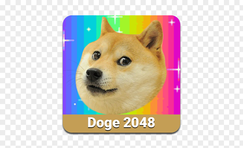 Dog Doge 2048 0 Free Puzzle Game PNG