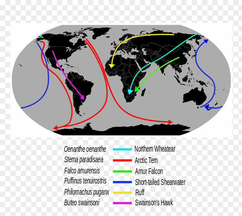Globe Upside Down World Map PNG