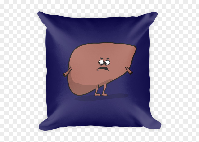 Pillow Throw Pillows Couch WeRateDogs PNG
