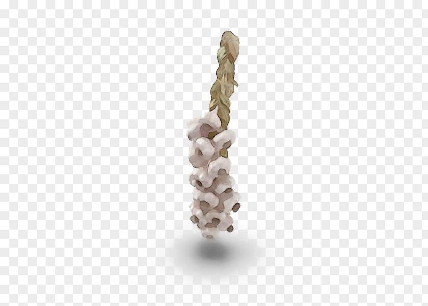 Plant Beige PNG