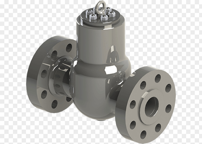 Seal Check Valve Gate Globe PNG