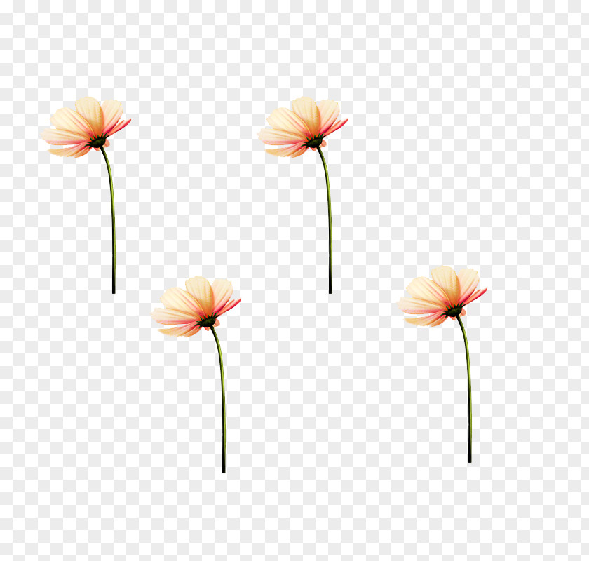 90 Petal Flowering Plant Stem PNG