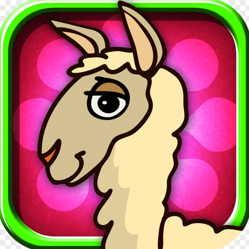 Alpaca Llama Drawing Clip Art PNG