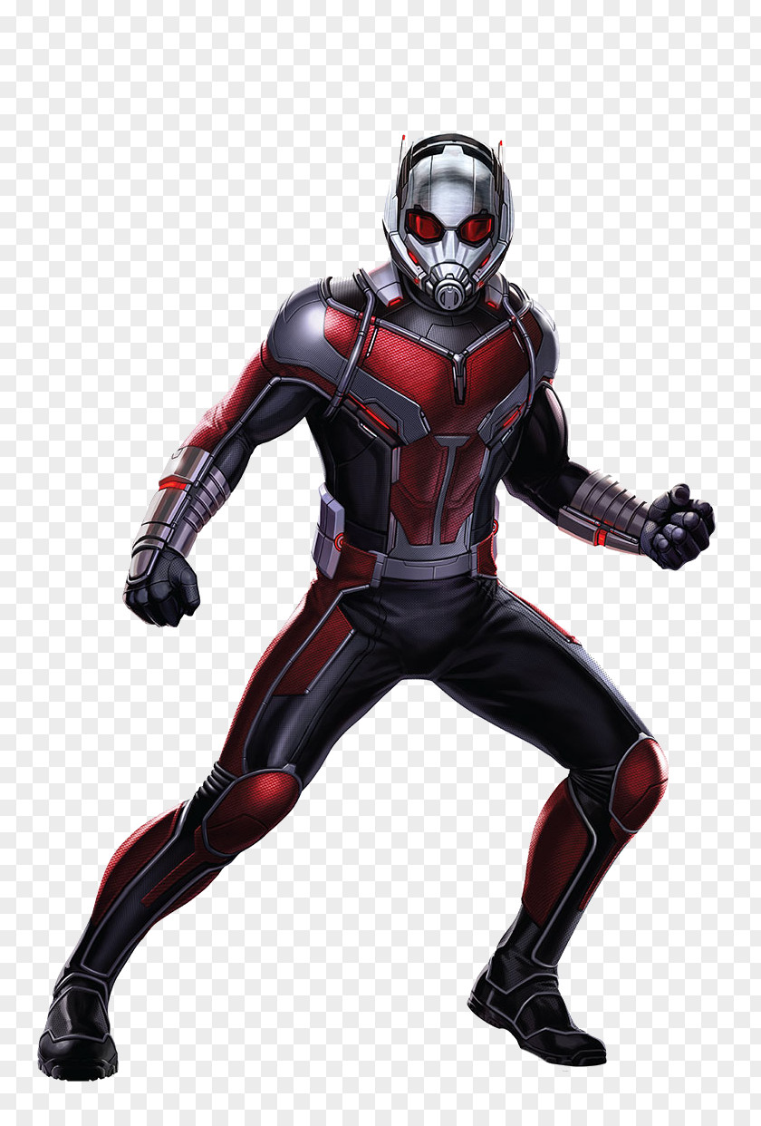 Ant Man Ant-Man Hank Pym Captain America Wasp Iron PNG