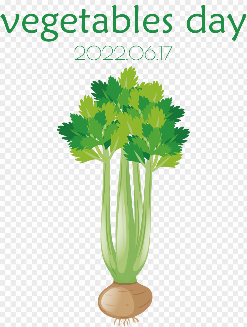 Cauliflower PNG