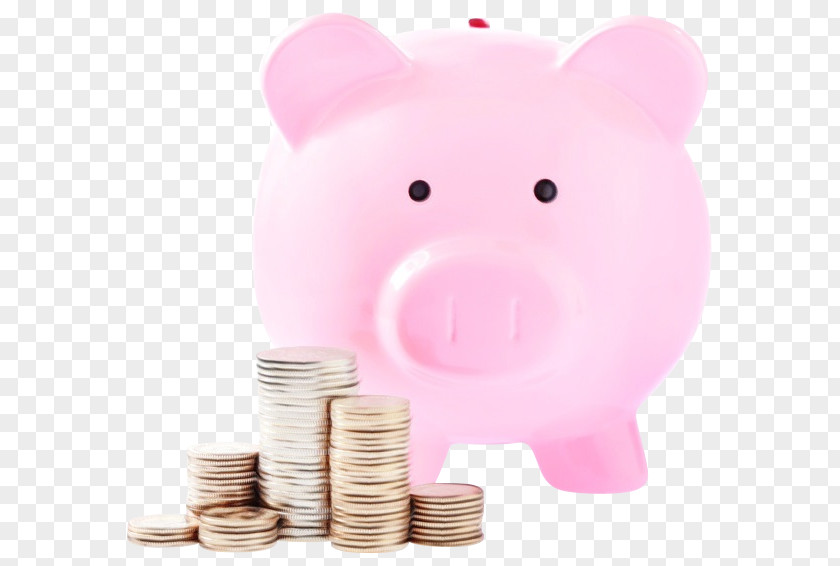 Coin Currency Piggy Bank PNG