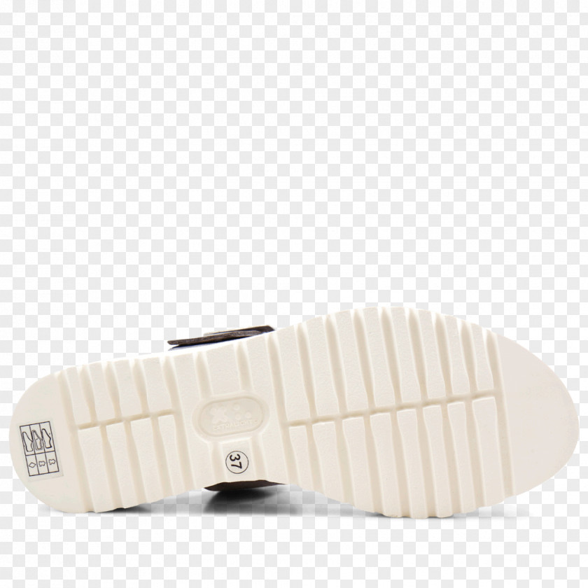 Design Shoe Sneakers PNG