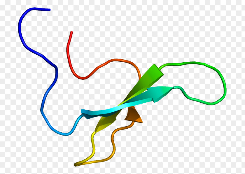 NEDD4L Protein Structure Cell Enzyme PNG