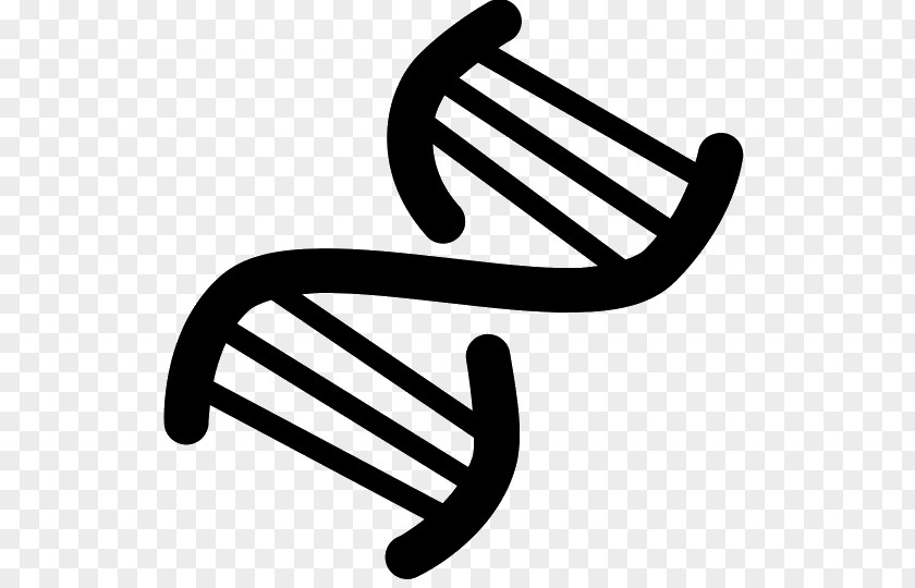 Nucleic Acid Double Helix DNA PNG