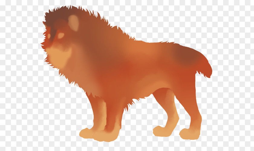 Puppy Lion Pomeranian Dog Breed Whiskers PNG