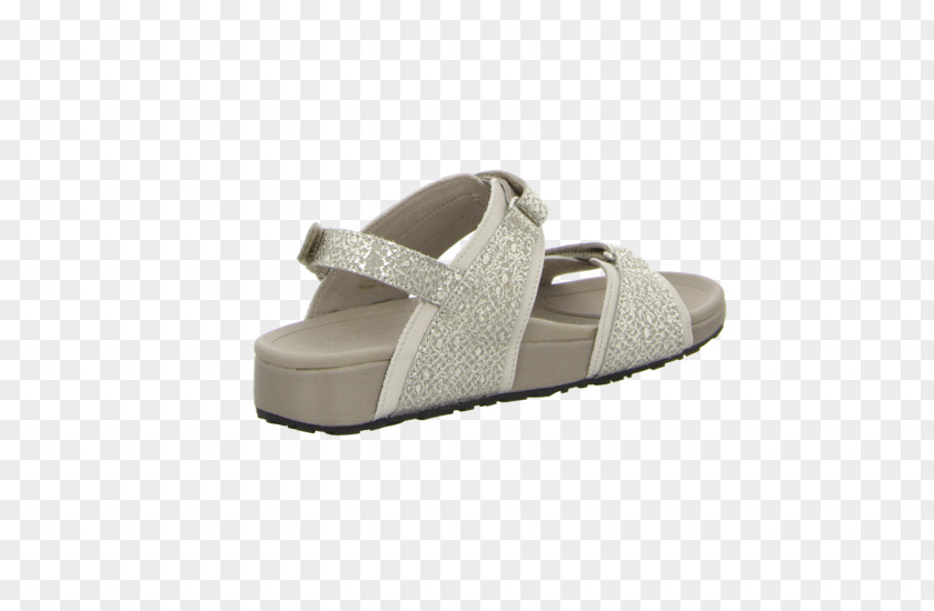 Sandal Slide Shoe PNG