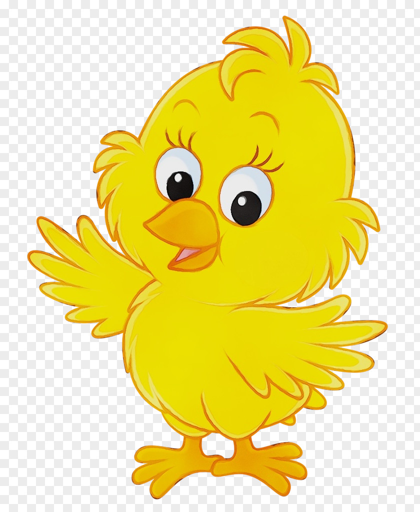 Cartoon Yellow Beak Bird PNG