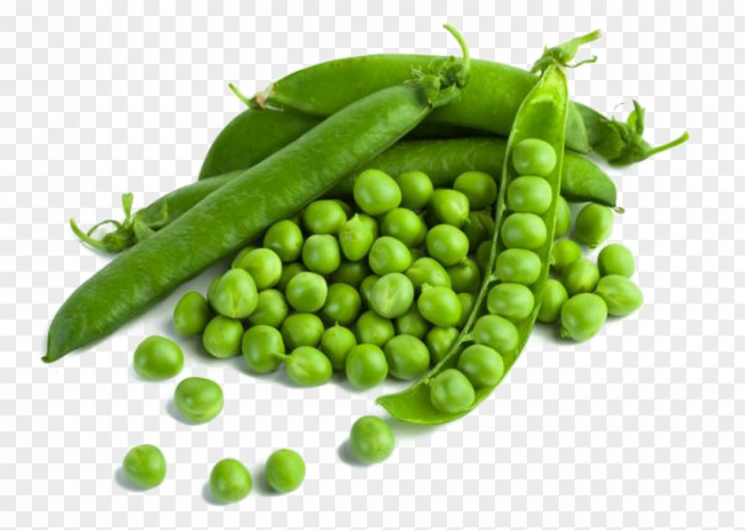 Pois Doux Thika Green Pea Vegetable Split Mattar Paneer PNG