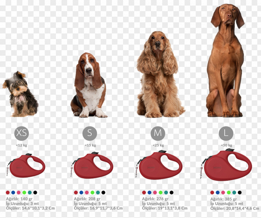 Puppy Dog Breed Irish Setter English Cocker Spaniel PNG