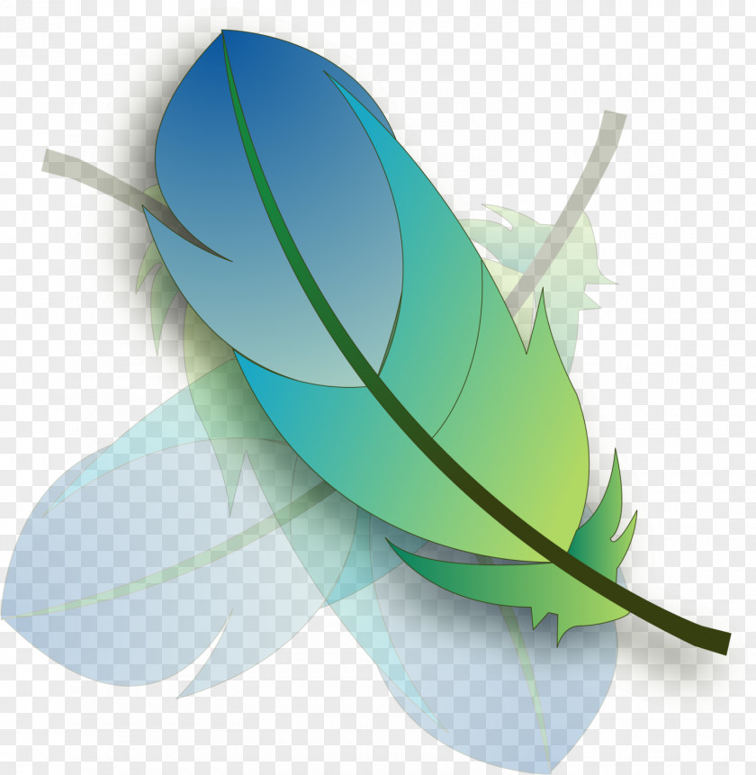 Wing Quill Adobe Logo PNG