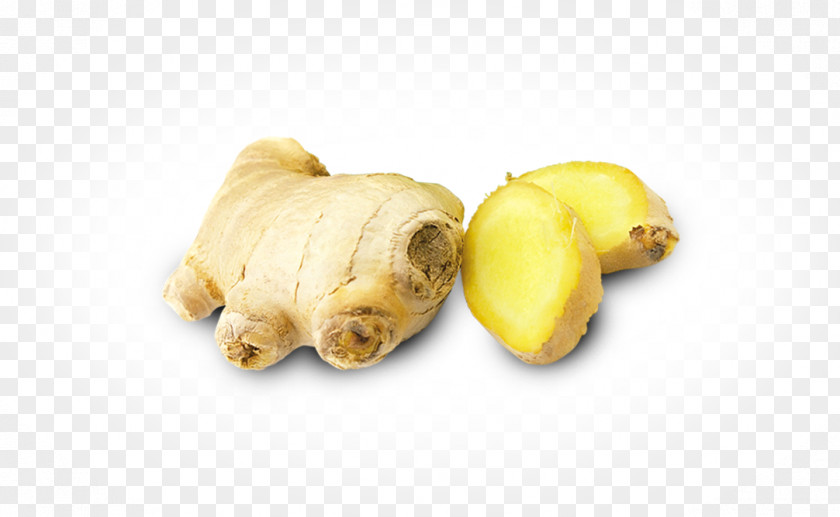 Aloo Paratha Puppy Root Vegetables Tuber Snout PNG