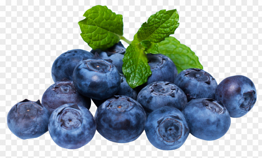 Blueberries Blueberry Fruit PNG