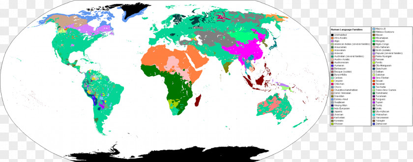 Latin Grammar Wildcat Felidae Bobcat Eurasian Lynx Porto Empedocle PNG