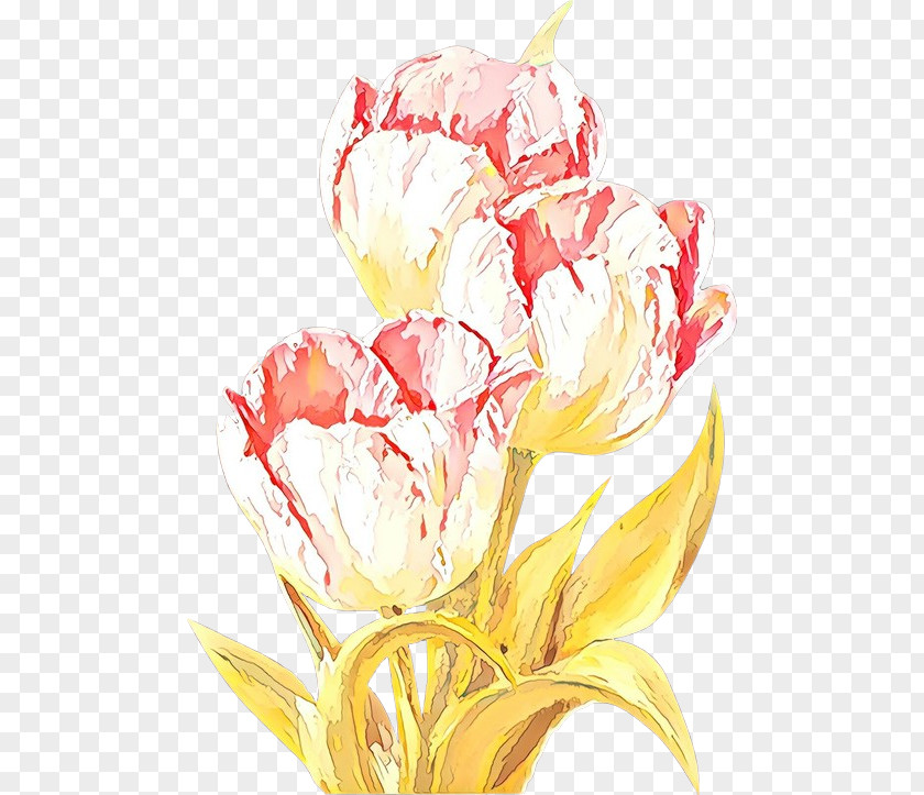 Lily Family Petal Watercolor Pink Flowers PNG