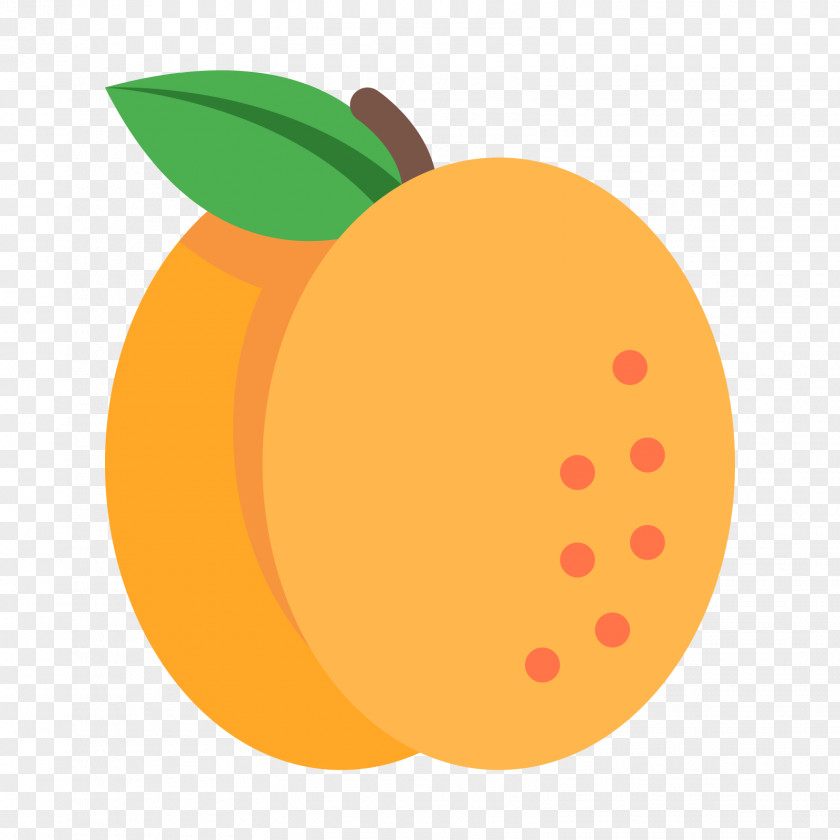 Mango Vector Juice Dried Fruit Apricot PNG