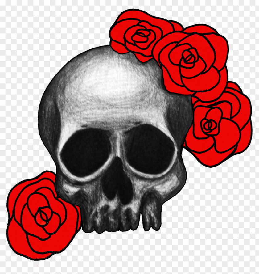 Skull Rosaceae Rose Drawing Clip Art PNG