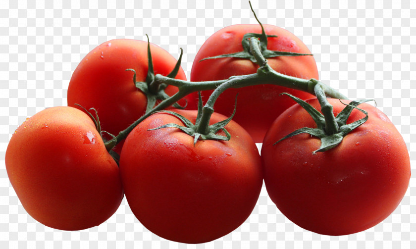 Tomatoes Clipart Cherry Tomato Blue Vegetable Clip Art PNG