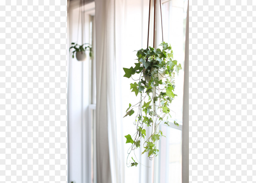 Window Curtain Floral Design Flowerpot PNG
