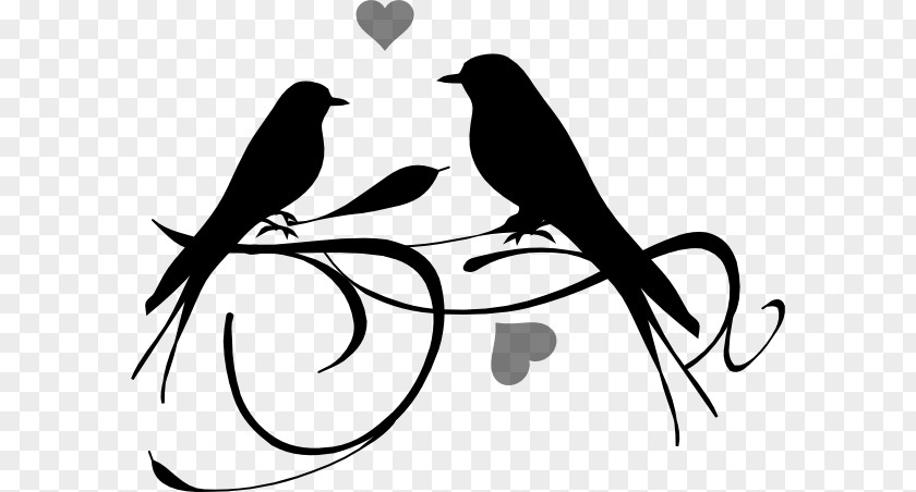 Bird Black And White Drawing Clip Art PNG