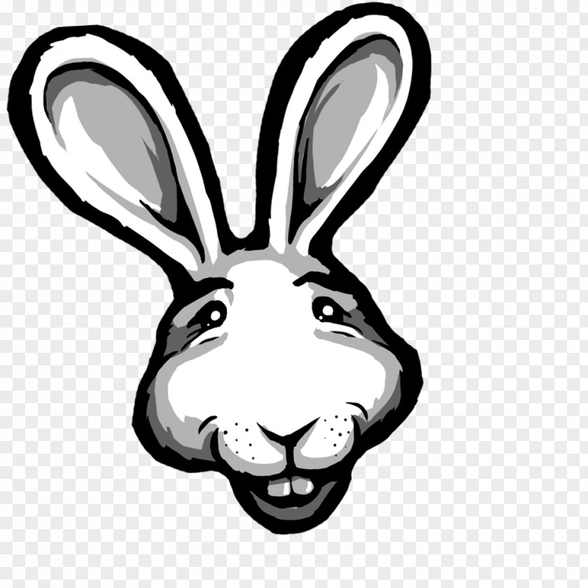 Bunnies Clip Art Product Whiskers Snout PNG