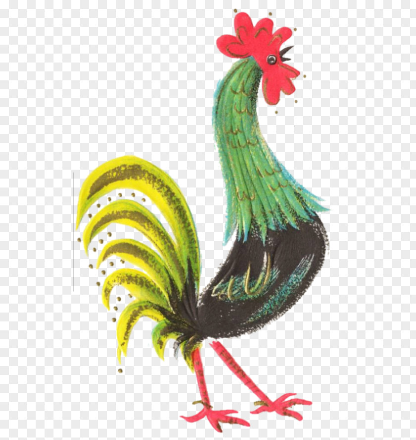 Chicken Rooster Hen Kifaranga Feather PNG