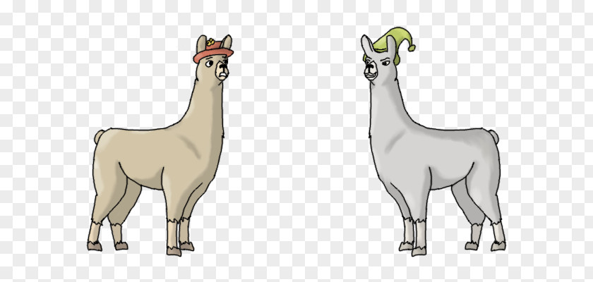 Llama Llamas With Hats Vicuña Alpaca PNG