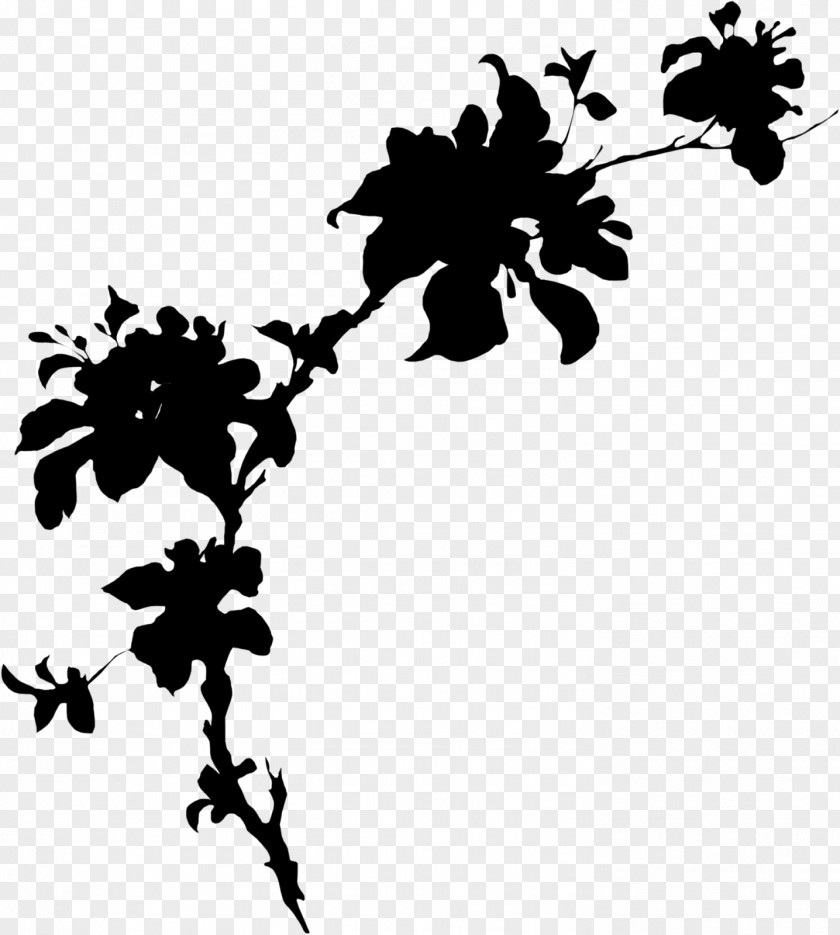 M Clip Art Leaf Floral Design Black & White PNG