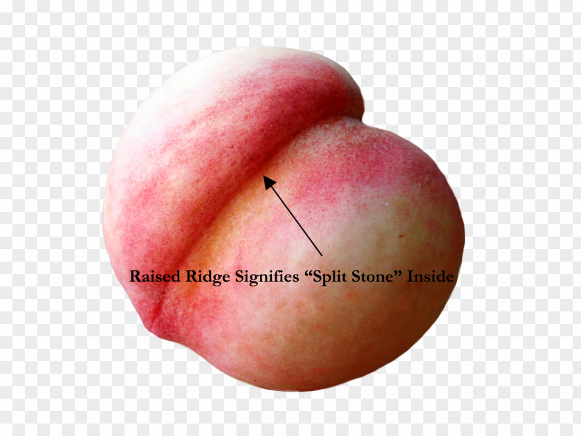 Peach Fruit Ripening Split Stones Produce PNG